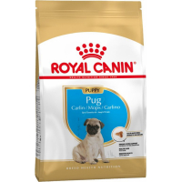 Royal Canin Breed Pug Junior für Möpse
