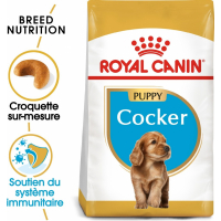 Royal Canin Breed Cocker Junior