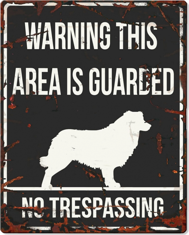 Schild WARNING mit Australian Shepherd
