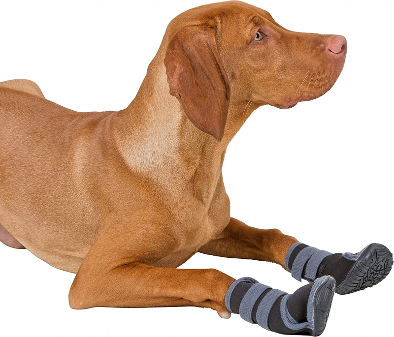Chaussures Active gris/noir pour chien