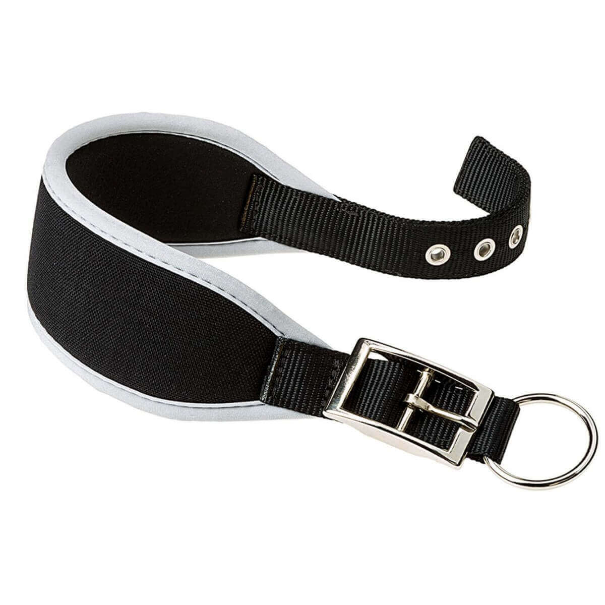 Windhund Halsband Ergocomfort 