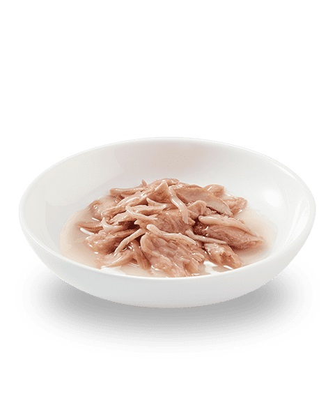 Schesir, Comida Húmeda para Gatos Adultos, Sabor Tiras de Pollo en Salsa  Natural - Total 1,7 kg (20 Sobres x 85 gr)