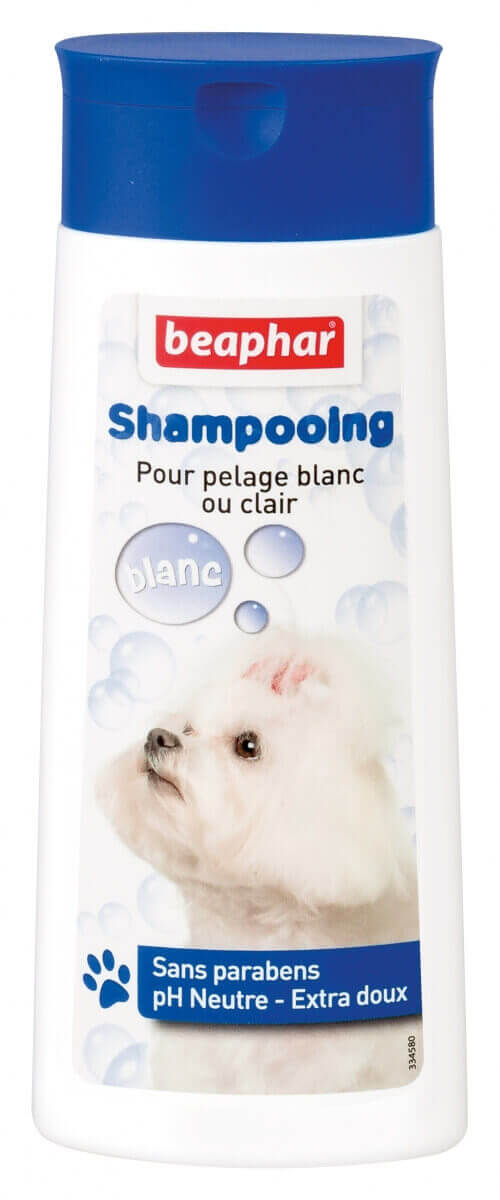 Shampoing Bulles, pelage blanc ou clair