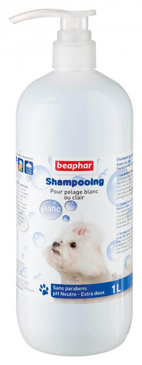 Bubble Shampoo, wit of lichte kleur van vacht