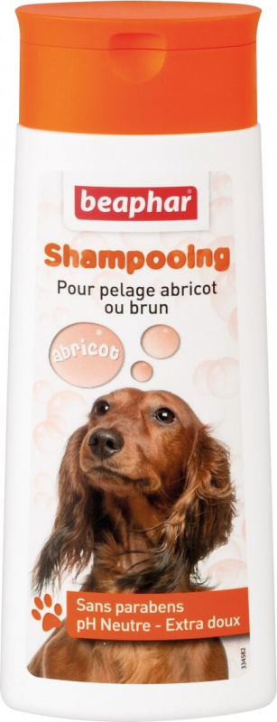 Shampoing Bulles, pelage abricot ou brun