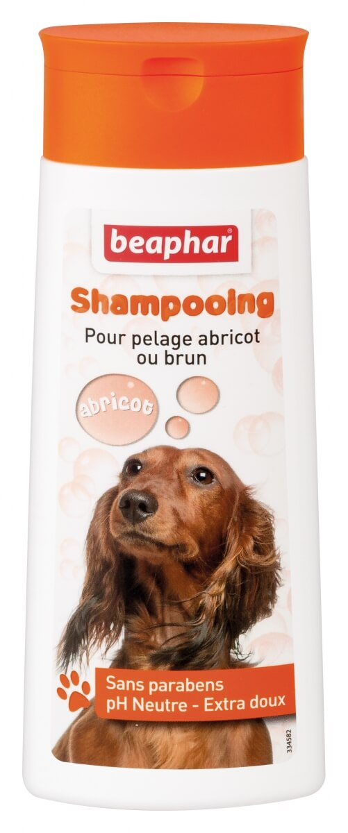 Bubble Shampoo, braunes oder rotes Fell