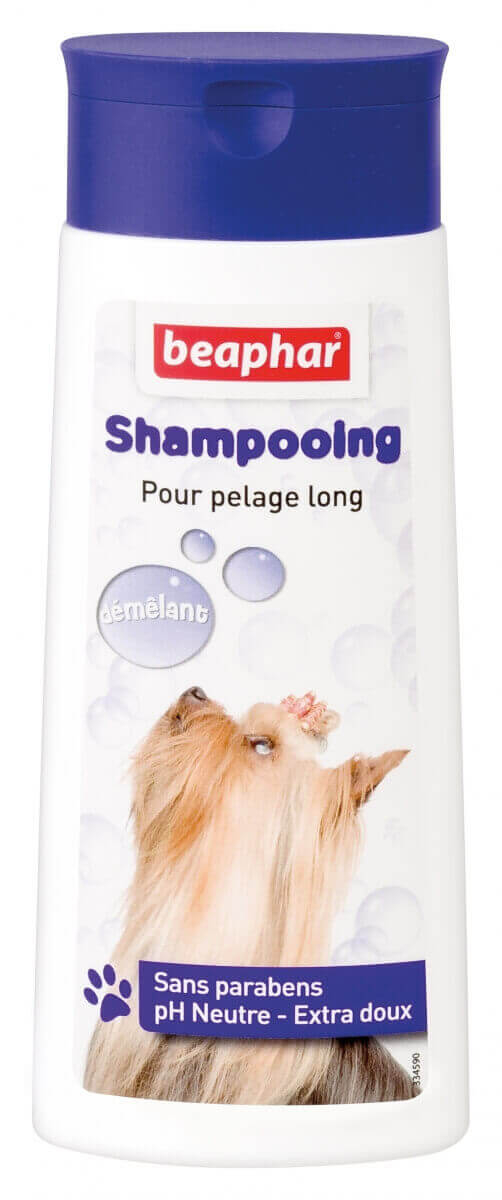 Shampooing Bulles, pelage long