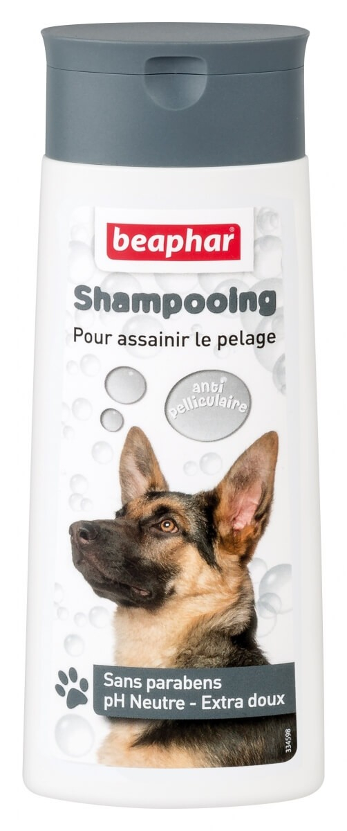 Shampoo für schwarze Fell, anti Schuppen