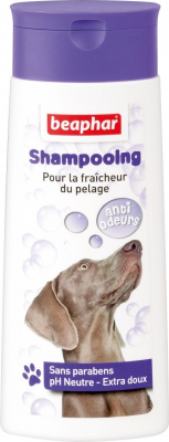 Shampooing Bulles, anti-odeurs