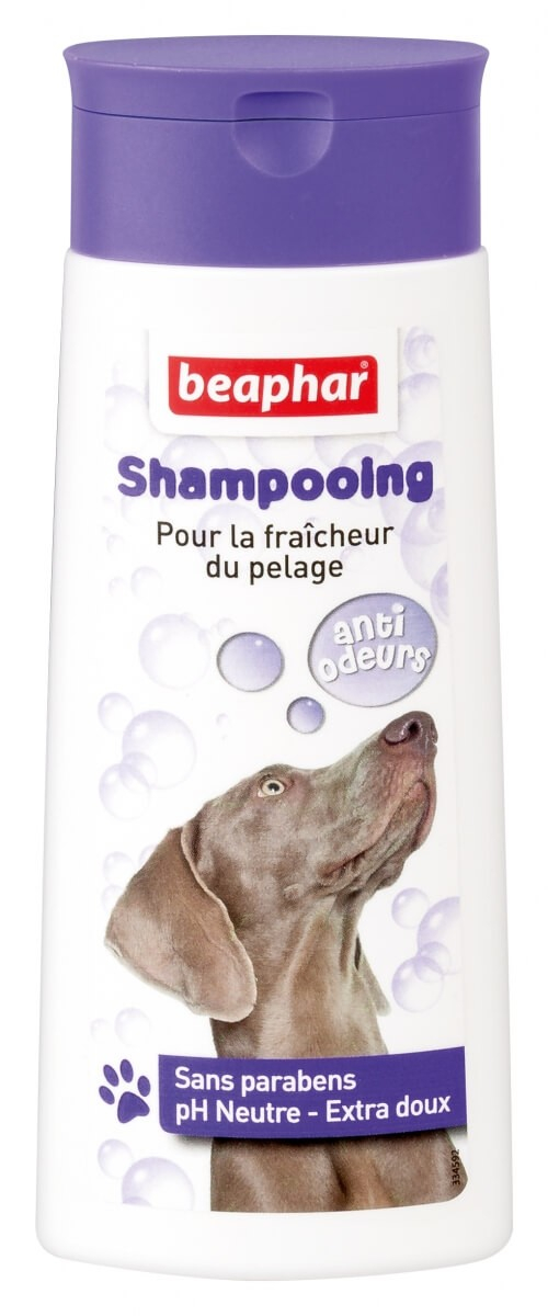 Shampoo für Hunde gegen schlechte Gerüche