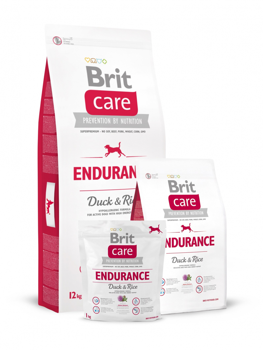 BRIT CARE Duck and Rice Endurance pour Chien Adulte Actif 