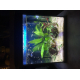 Aquariums-Aqua-30-LED---Tropical-Kit_de_Nicolas_15574982115a7746c8d34501.78787925