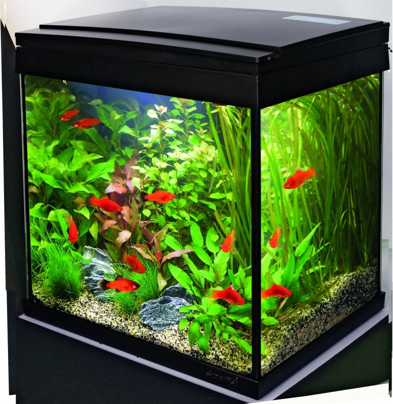 Aquariums Aqua 30 LED - Tropical Kit