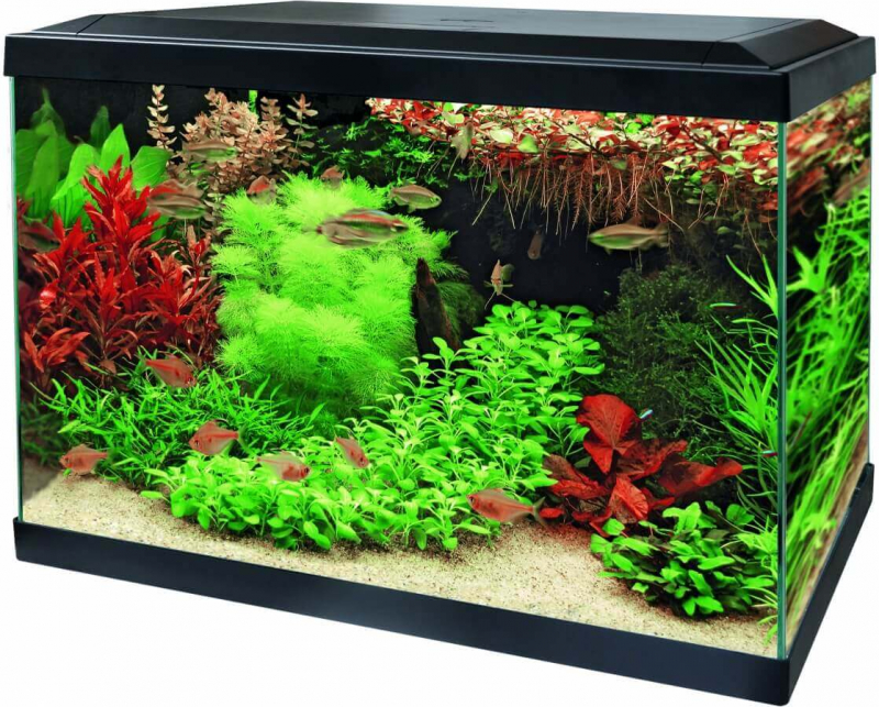 Aquarium Aqua 70 LED - Tropical Kit Blanc ou Noir