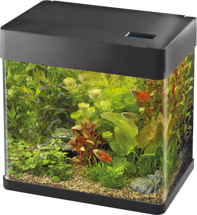 Aquariums PANORAMA LED 20 - 35 - 70