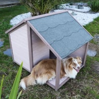 Niche pour chien avec terrasse ZOLIA MANOA - 2 tailles disponibles