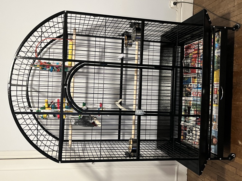 Cage perroquet Zolia Conga - H 155 cm