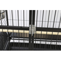 Cage pour perroquet ZOLIA ALOA - 168cm