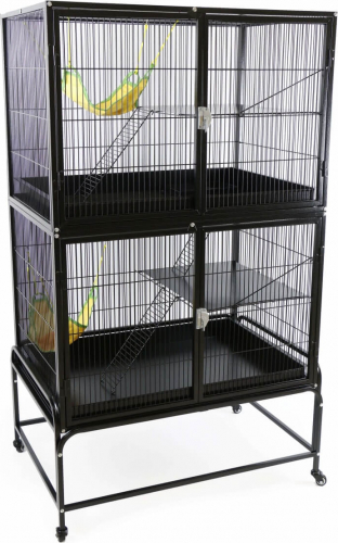 Une cage parfaite pour ses rats – Gamelles Sans Frontière