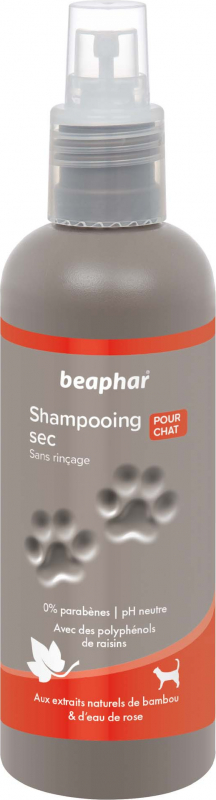 Shampoing sec Premium chat