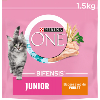 Purina ONE Junior - de 1 a 12 meses pienso para gatitos