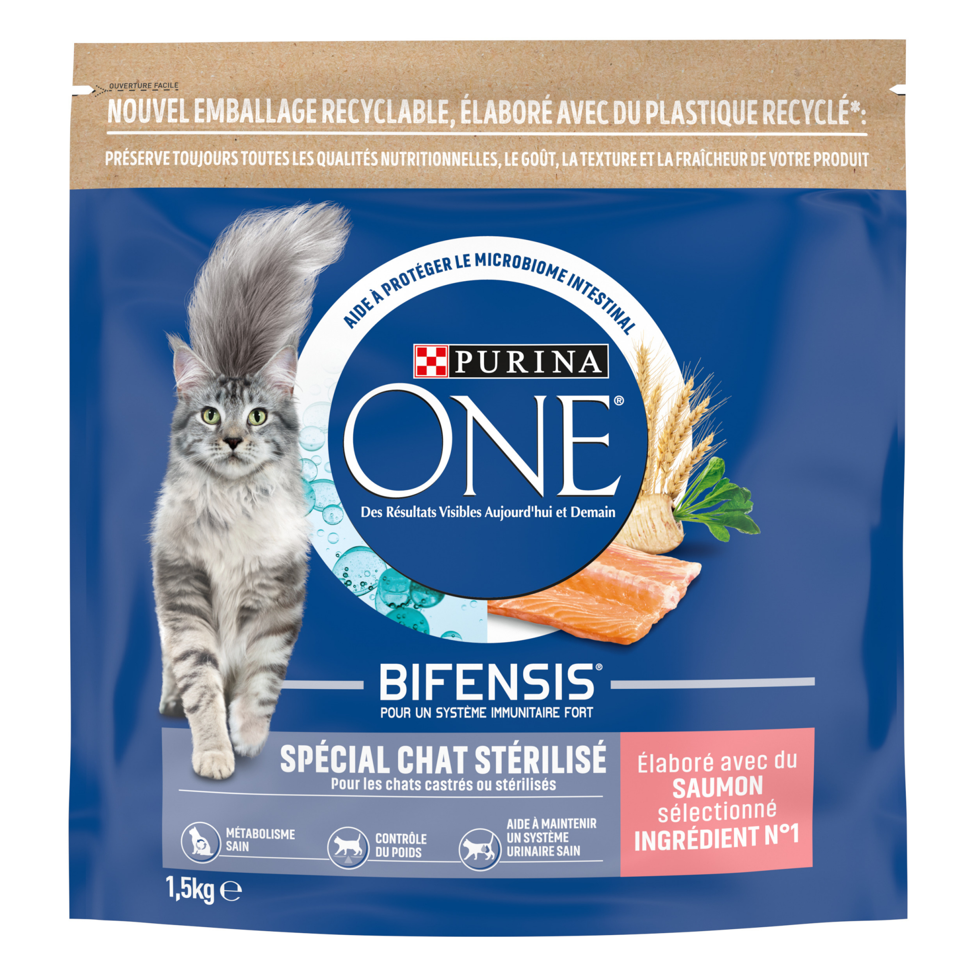 Purina ONE Sterilcat speciale gatto sterilizzato salmone