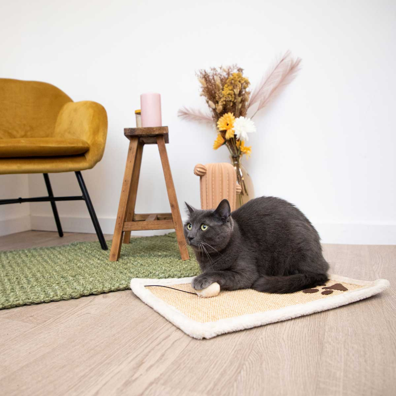 Tapis griffoir pour chat Zolia Eloni - 49 x 34 cm