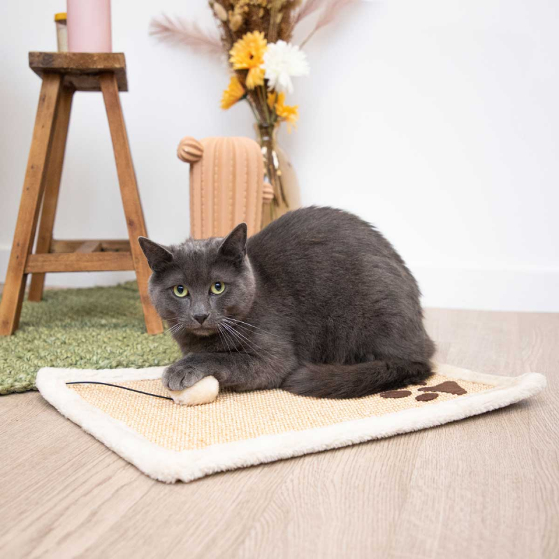 Tapis griffoir pour chat Zolia Eloni - 49cm 