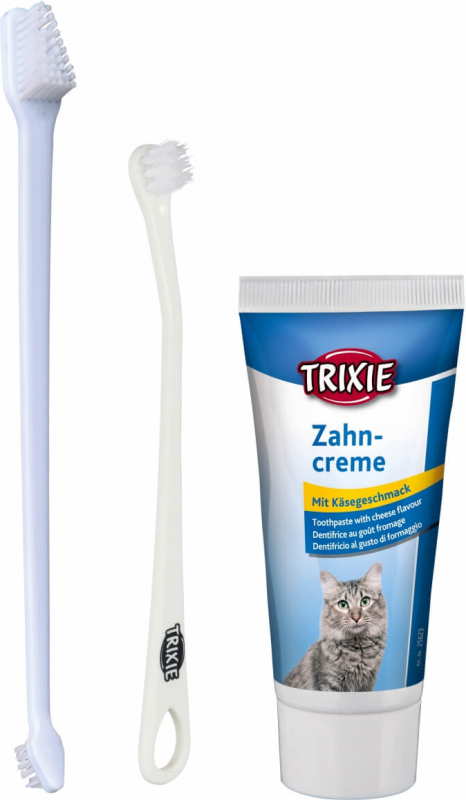 Set hygiène dentaire avec brosses et dentifrice pour chat