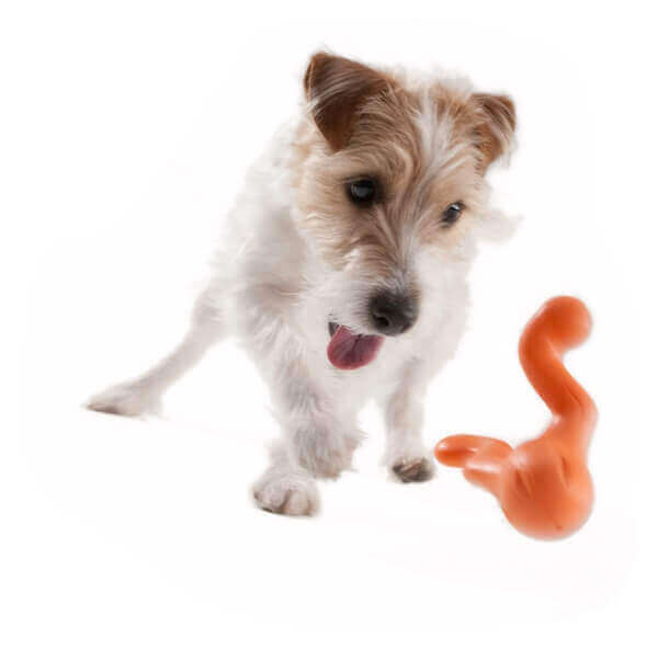 Tizzi - Brinquedo de mastigação e de lançar cão Zogoflex