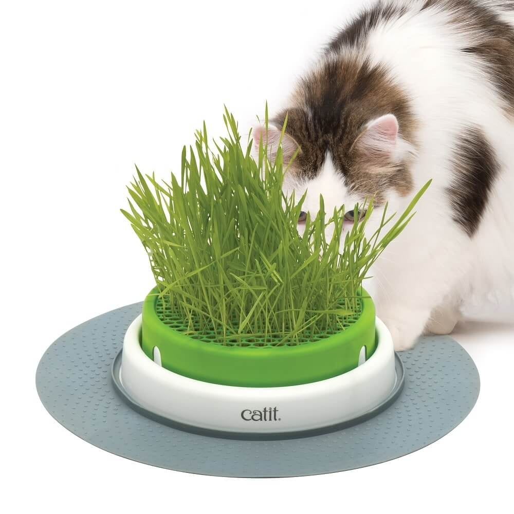 Giardiniera d'erba gatta Cat It Senses 2.0