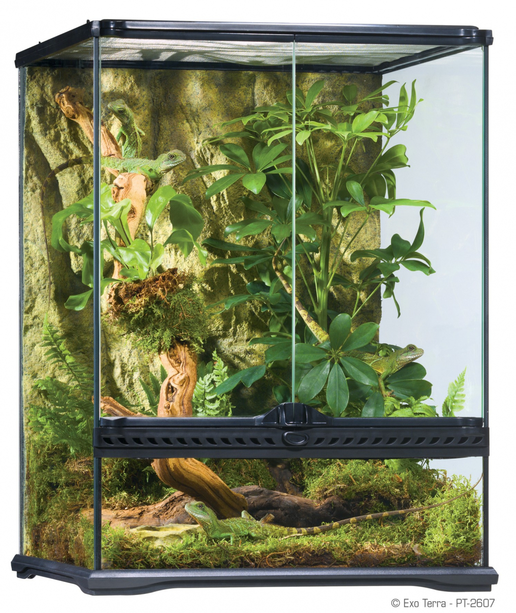 Terrarium en verre climat tropical Exo Terra - 45x45x60 cm