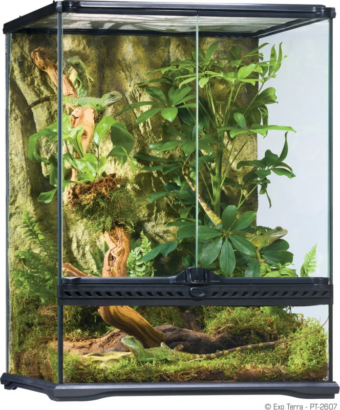 Terrarium en verre climat tropical Exo Terra - 45x45x60 cm