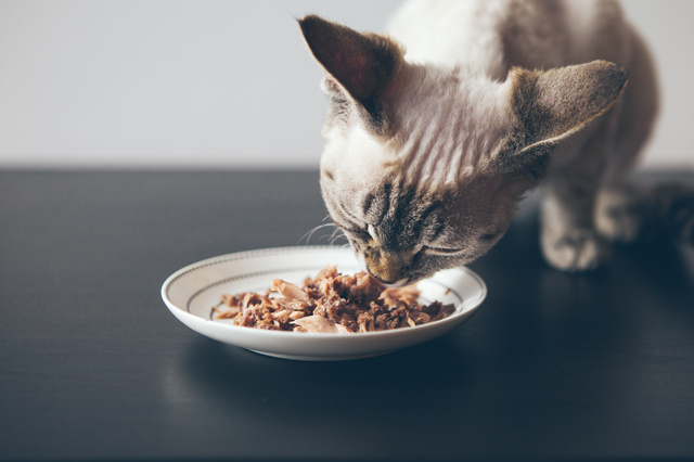 Opinión de Amanda de CAT'S LOVE Comida húmeda natural para gatos adultos 85 gr - 6 recetas