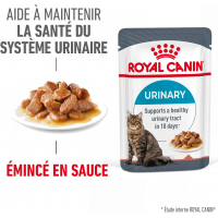 ROYAL CANIN sachet fraîcheur URINARY CARE en sauce
