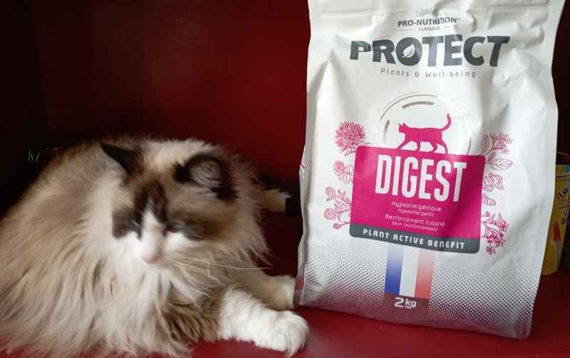 PRO-NUTRITION PROTECT Urinary pour Chat Adulte