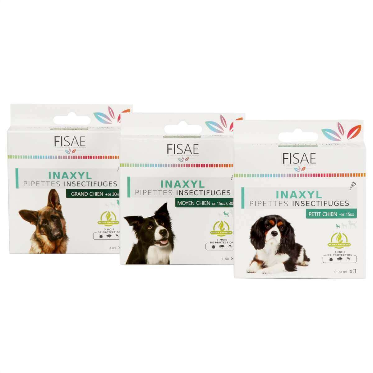Pipette Insectifuge chien FISAE INAXYL - Innovation : 4 actifs naturels 