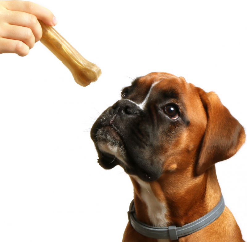 Huesos masticables para perros DAILYS