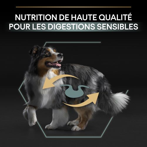 digestion sensible proplan pour chien