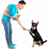 DAILYS Education - Cubitos de Pato snacks para perros