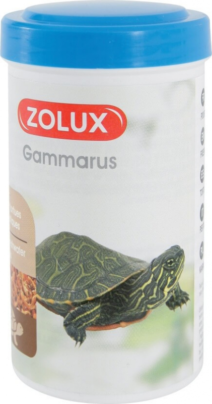 Voer voor waterschildpadden Gammarus