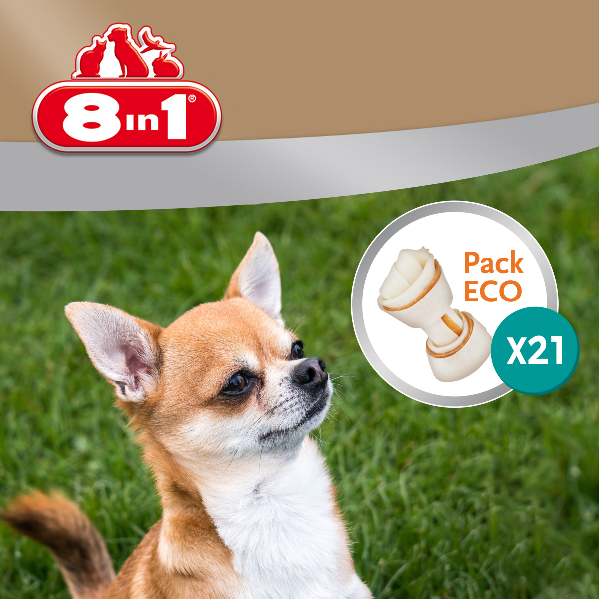 8in1 Delights Ossi da masticare Pollo Snack per cani - bitiba!