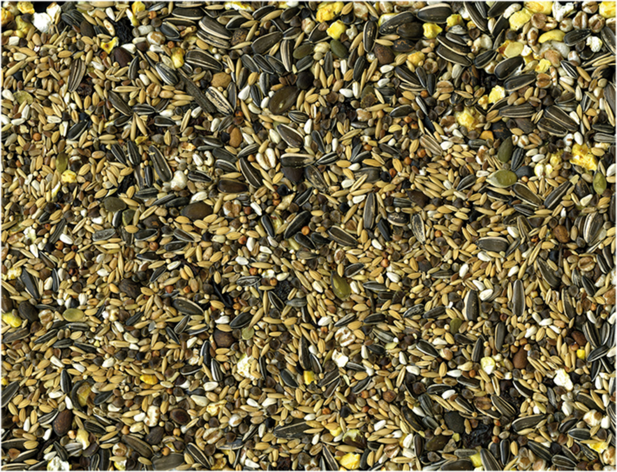  Mezcla de semillas para Loro - CONDITION MIX- 15kg