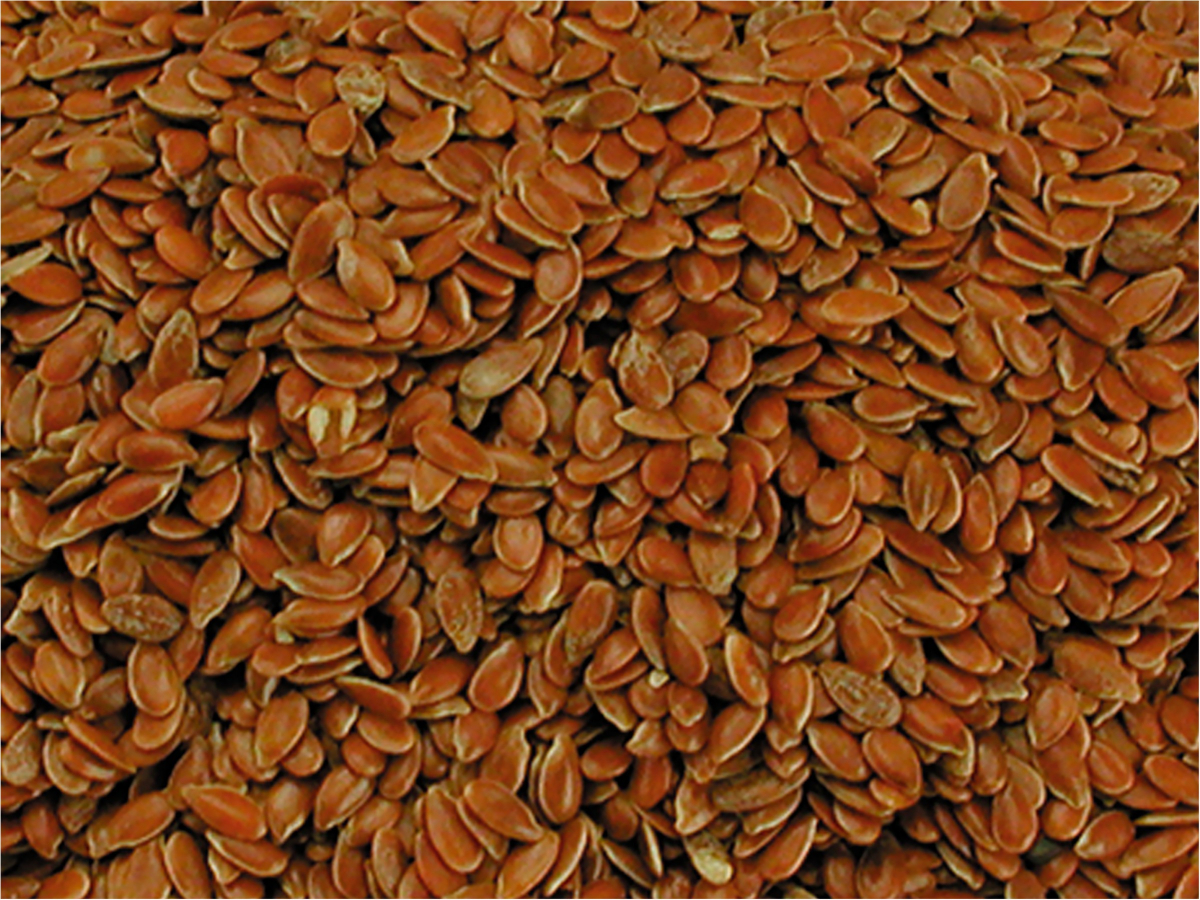 Graines d'arachides décortiquées Gasco