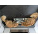 Patee-Royal-Canin-Veterinary-Feline-Gastro-Intestinal-en-sachet-fraicheur_de_CATHERINE_109017352611685d656b8a3.89198248