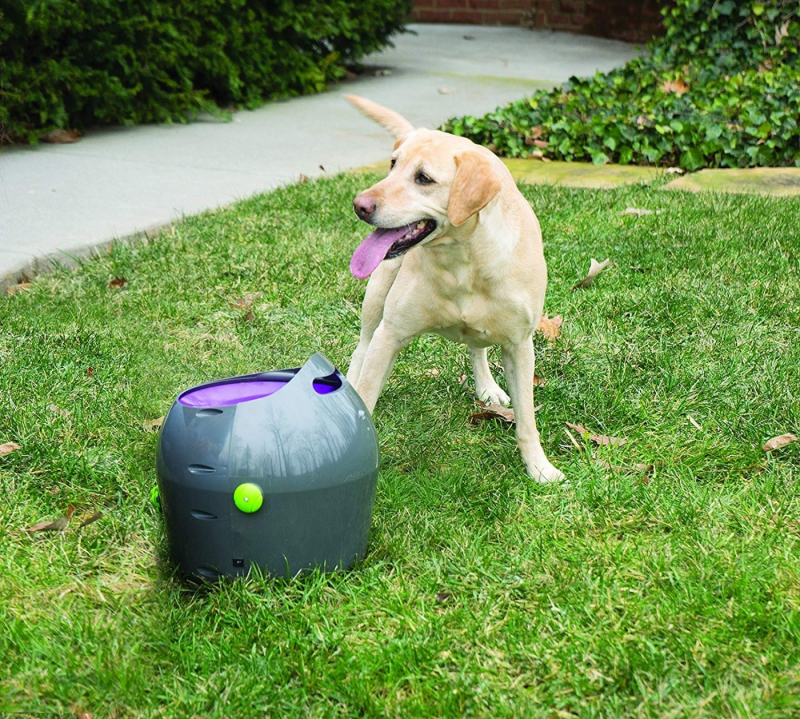 Lanzador de pelota automático para perro PetSafe