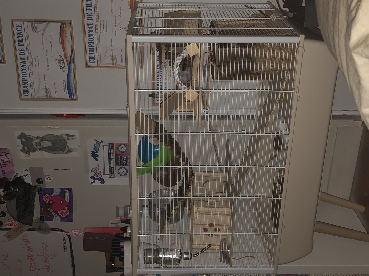 Cage rongeur gabbie e accessori Animali Piccoli animali Habitat 