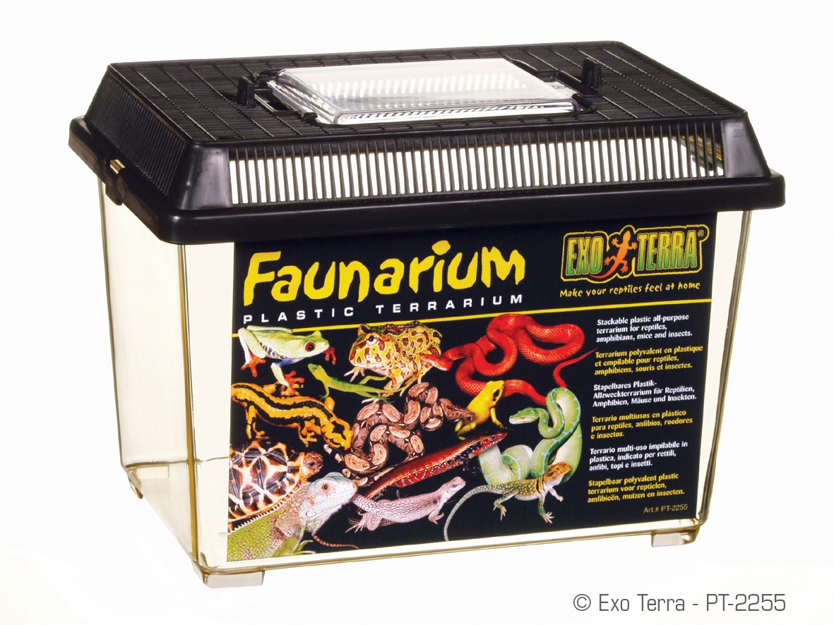Terrário plástico Exo Terra Faunarium - Vários tamanhos disponíveis