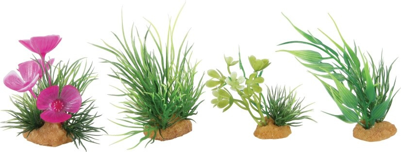 Set von 4 Kunststoffpflanzen - Modell 1