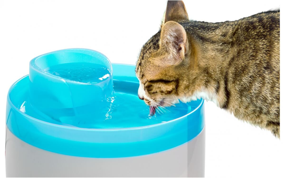 Fontana ad acqua silenziosa per gatti 2L